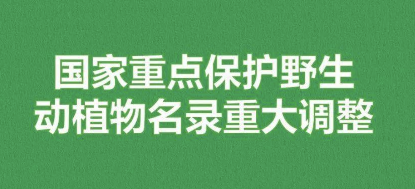 重磅！新版國家重點(diǎn)保護(hù)野生植物名錄公布，58種/屬列入一級(jí)保護(hù)，值得收藏